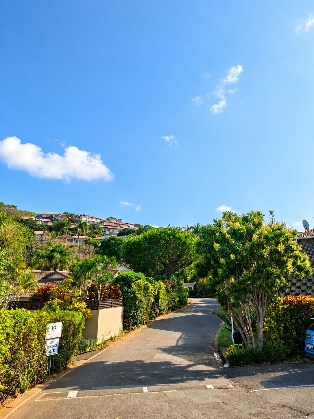 Estate landscaping