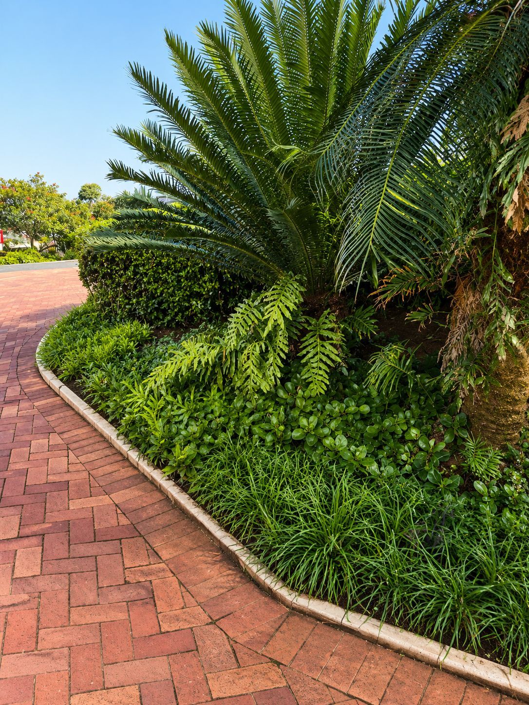 Hardscaping and paving installation